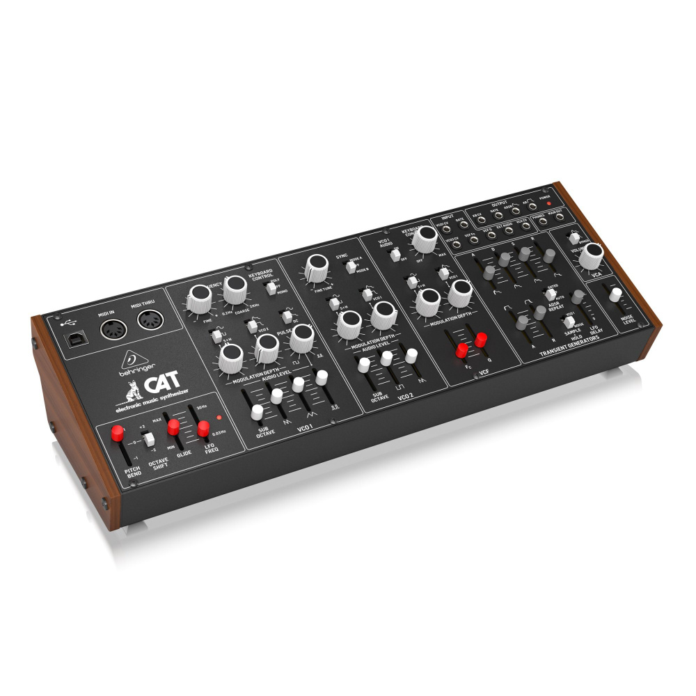 Behringer CAT аналоговый синтезатор #1