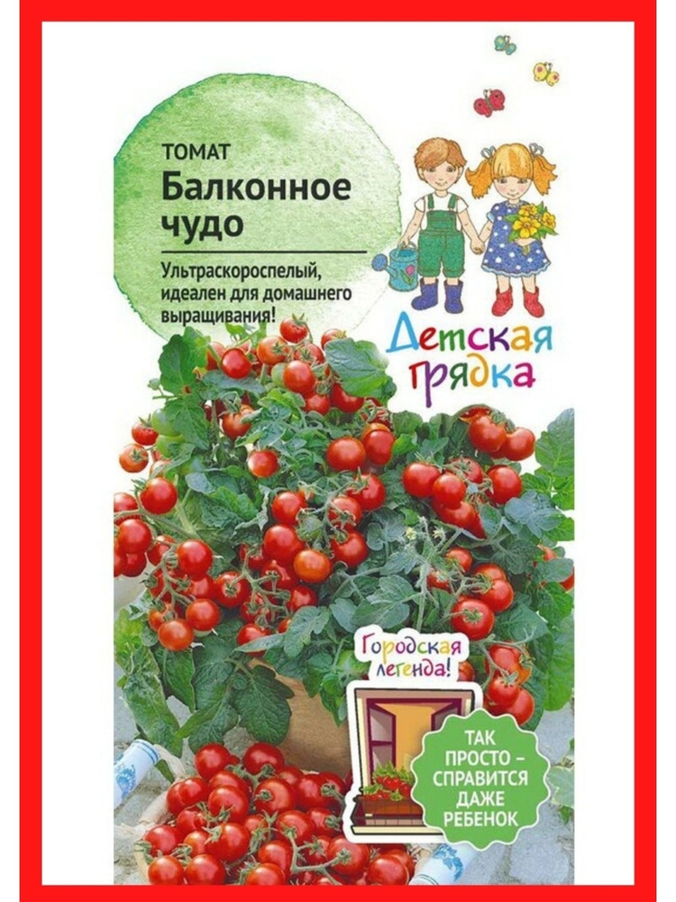 Семена томатов "Балконное чудо" Сладкие помидоры черри для сада , огород на балконе и подоконнике  #1