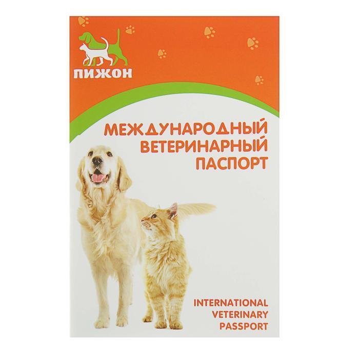 Ветеринарный паспорт, оранжевый #1