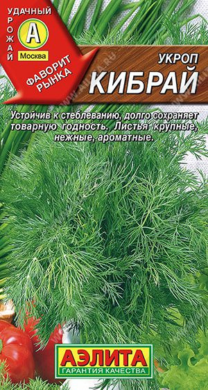 Укроп "Кибрай" семена Аэлита зелень для дома, балкона, подоконника и огорода, 3 гр  #1