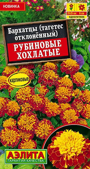 Бархатцы низкорослые "Рубиновые хохлатые" Семена цветов Аэлита, 0,3 гр  #1