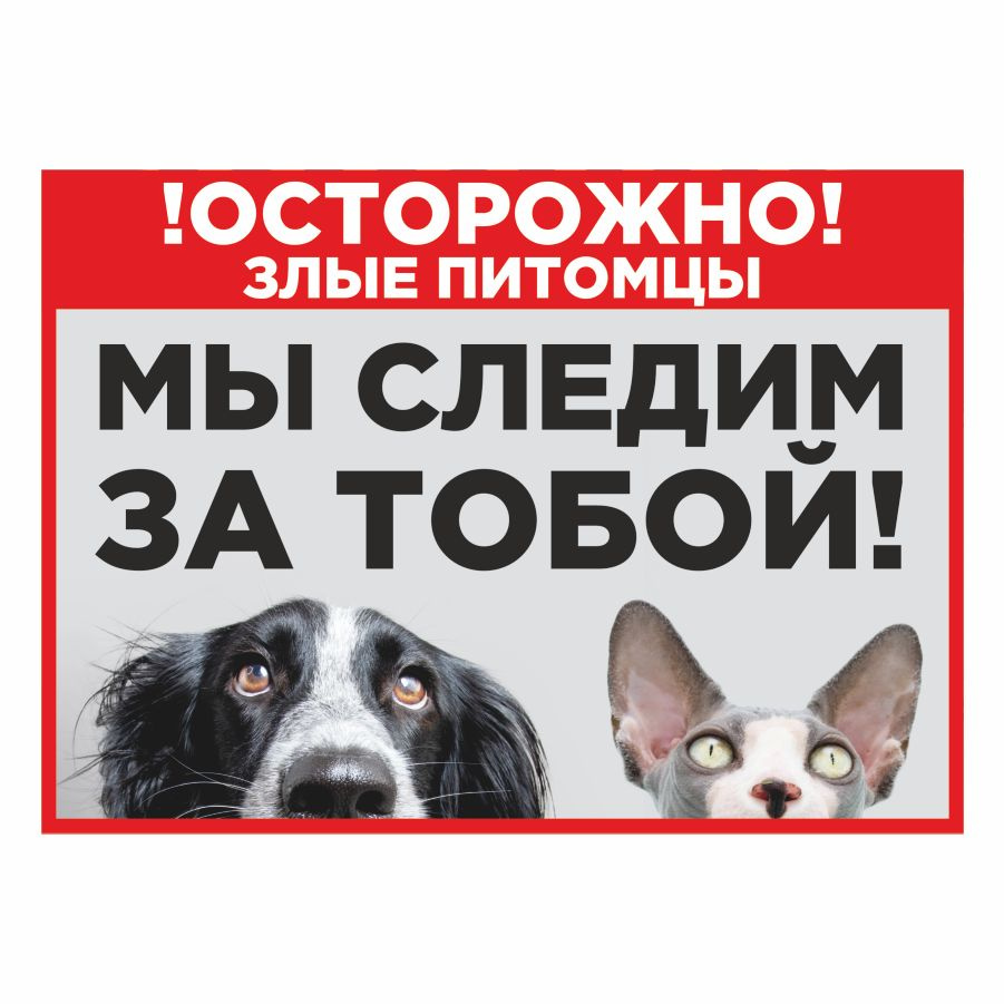 Табличка, осторожно злая собака, прикол, на дверь, на забор, 25 см, 18 ...