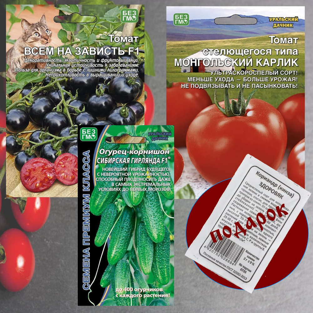Набор семян овощей из 3-х сортов: Томат Всем на Зависть / Томат Монгольский Карлик / Огурец Сибирская #1