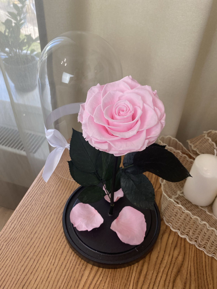 Стабилизированные цветы в стекле, Роза в колбе живая Miamor розовая, подарочный набор для женщины, долговечный #1
