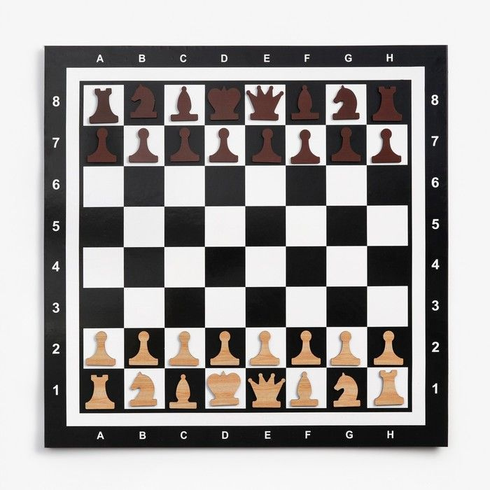 Демонстрационные шахматы "Время игры" на магнитной доске, 32 шт, поле 60 х 60 см  #1