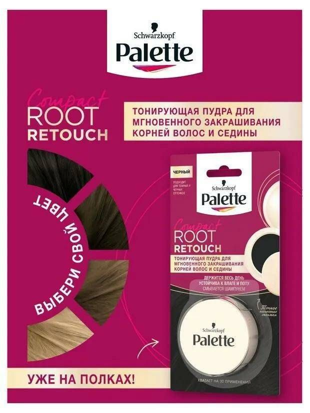 Пудра тонирующая Palette Root Retouch Чёрный для закрашивания корней и седины, 3 г  #1