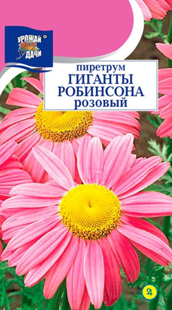 Пиретрум гиганты Робинсона РОЗОВЫЙ (Семена УРОЖАЙ УДАЧИ, 0,05 г семян в упаковке)  #1