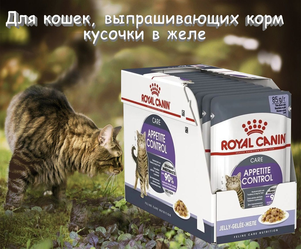 Корм для кошек Royal Canin Appetite Control Care Feline желе 85 гх12 шт #1