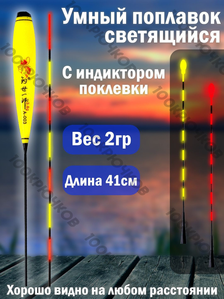 Умный поплавок для рыбалки светящийся с индикатором поклевки,поплавок для ночной рыбалки 41см 2гр  #1