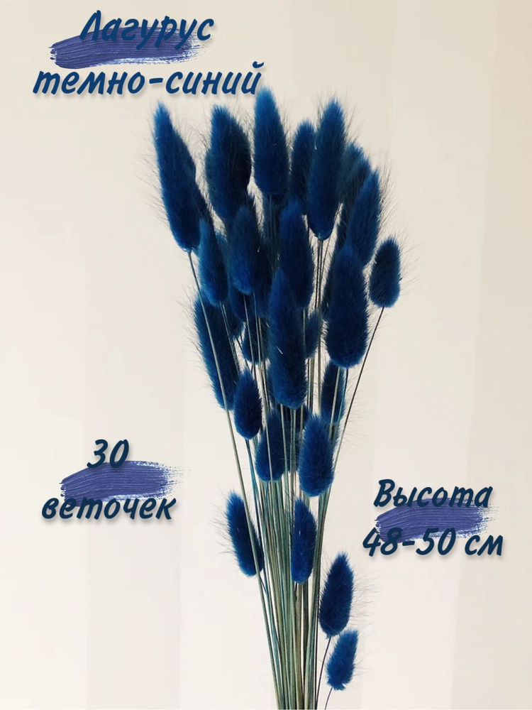 MC Букет из сухоцветов Лагурус, 50 см, 30 гр, 25 шт #1