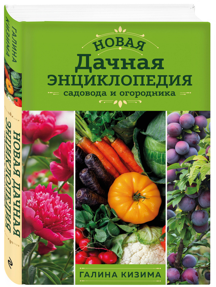 Новая дачная энциклопедия садовода и огородника (новое оформление) | Кизима Галина Александровна  #1