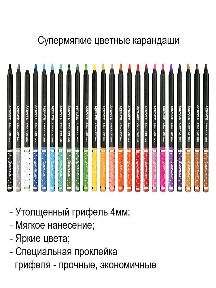 Набор цветных карандашей ACMELIAE Blackwood Artmate 24 цвета, в картонном футляре  #1