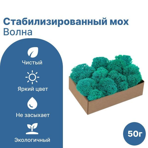 Сибирский Мох Стабилизированный мох Мох, 50 гр, 1 шт #1