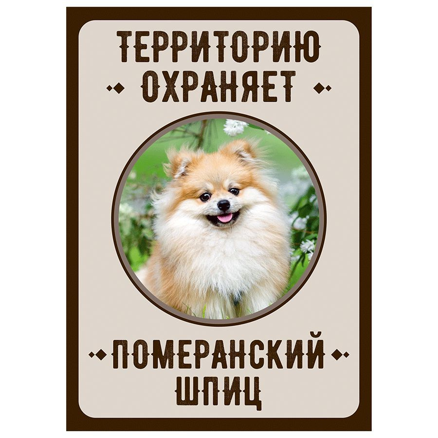Табличка, Злая собака, Территорию охраняет Померанский шпиц, на металлической основе, 18см х 25 см, на #1