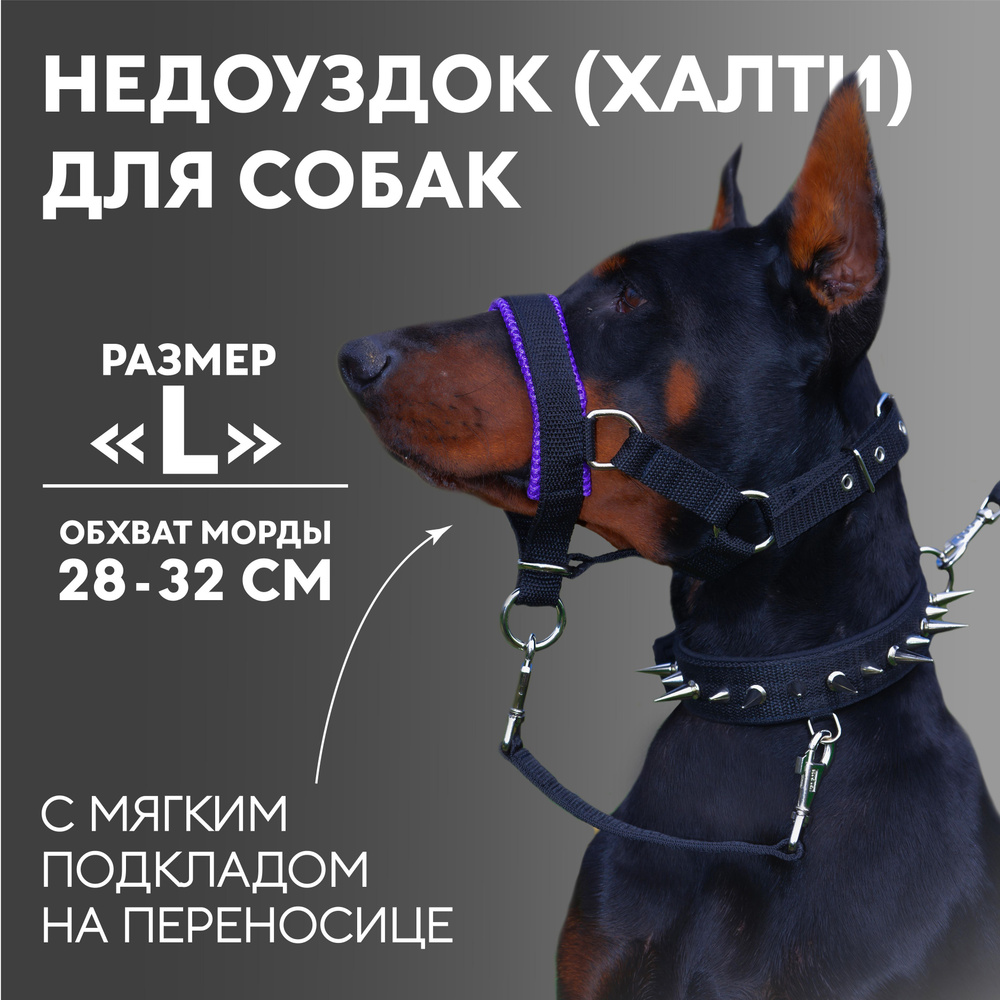Недоуздок(халти) TESLA COLLAR для собак "L" с фиолетовым подкладом  #1