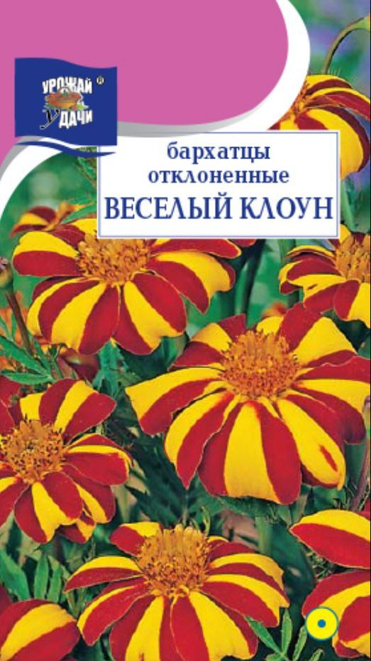 Бархатцы отклонённые ВЕСЁЛЫЙ КЛОУН (Семена УРОЖАЙ УДАЧИ, 0,3 г семян в упаковке)  #1