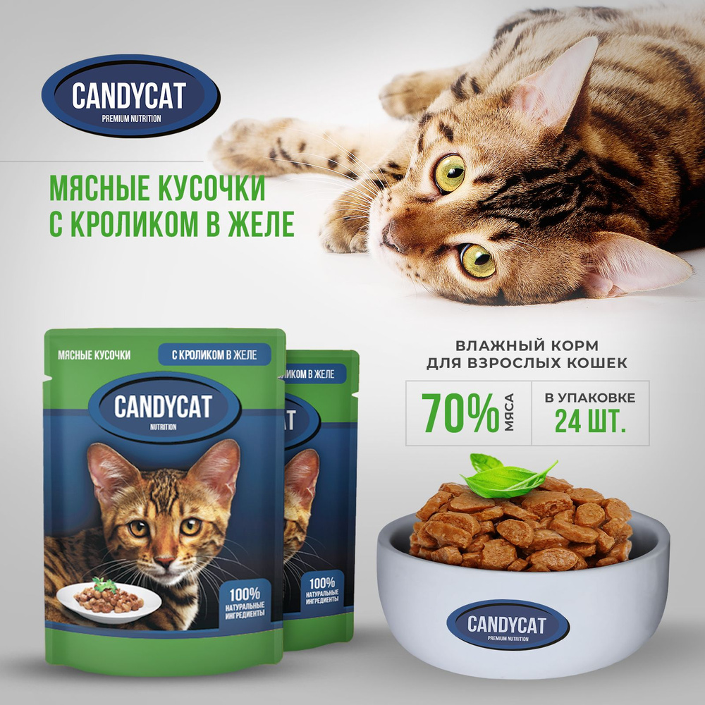 Влажный корм для кошек Candycat, Мясные кусочки с кроликом в желе, 24 шт по 85 г  #1