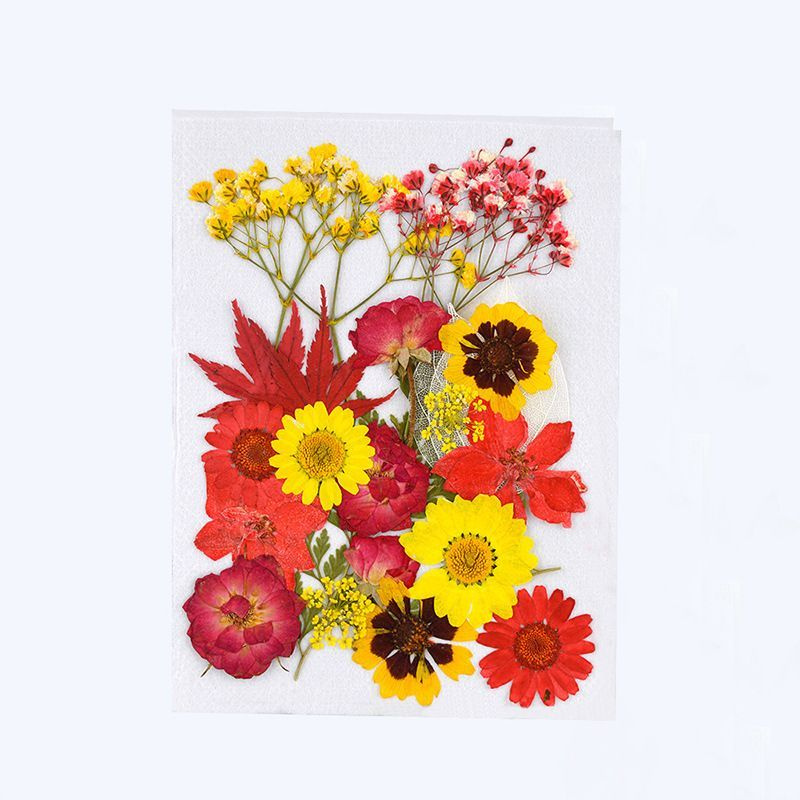 Набор натуральных сухоцветов для творчества, декора,красный, 24 шт. 130*105 мм / сухоцветы для изготовления #1
