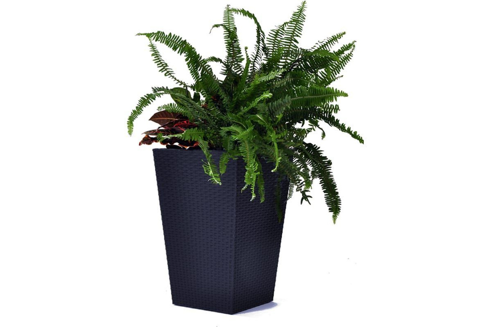 Кашпо Keter Rattan Planter M (medium) 55,4 л (17192301) антрацит, 228974 #1