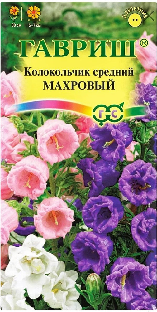 Колокольчик Махровый (средний), 1 пакет, семена 0,05 гр, Гавриш  #1