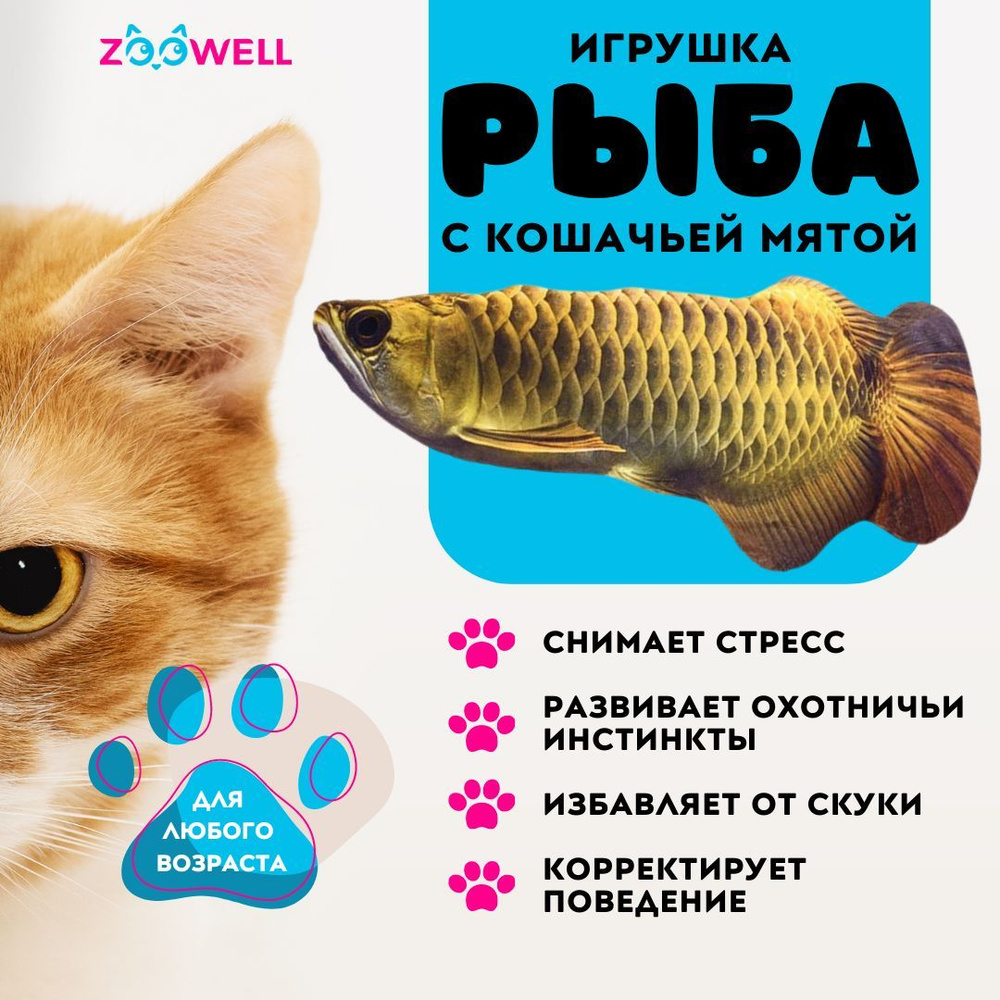 Игрушка для кошек с кошачьей мятой рыба, Аравана, 20 см - купить с  доставкой по выгодным ценам в интернет-магазине OZON (957600461)