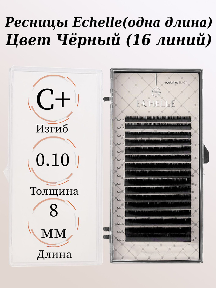 E'CHELLE: Черные ресницы для наращивания (16 линий) (0.10/C+/8 мм) (ECHELLE / Эчель)  #1