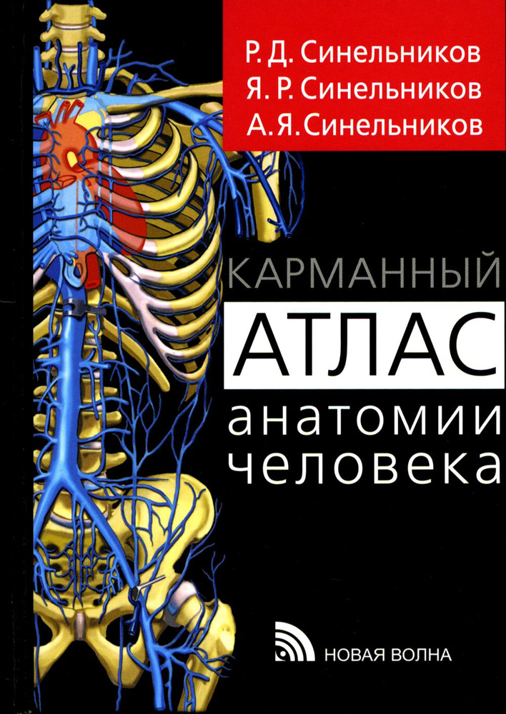 Карманный атлас анатомии человека. Учебное пособие | Синельников Рафаил Давидович, Синельников Яков Рафаилович #1