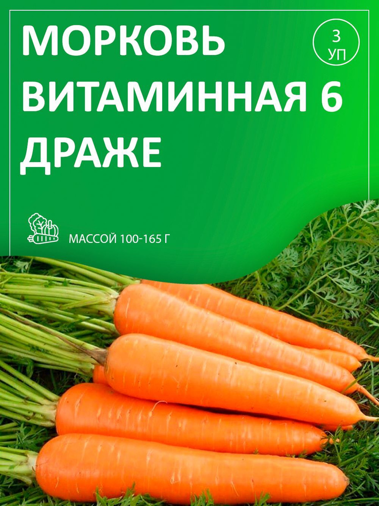Агрохолдинг Поиск, Морковь Витаминная 6 (Драже), Набор из 3-х упаковок семян.  #1