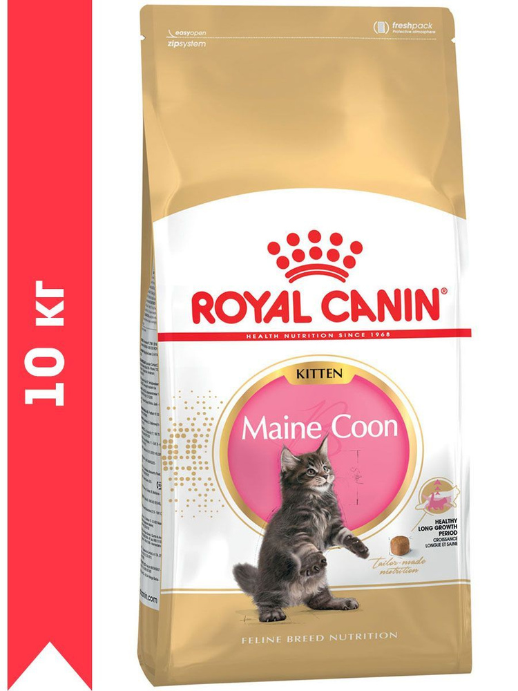 Сухой корм ROYAL CANIN MAINE COON KITTEN 36 для котят мэйн кун (10 кг) #1