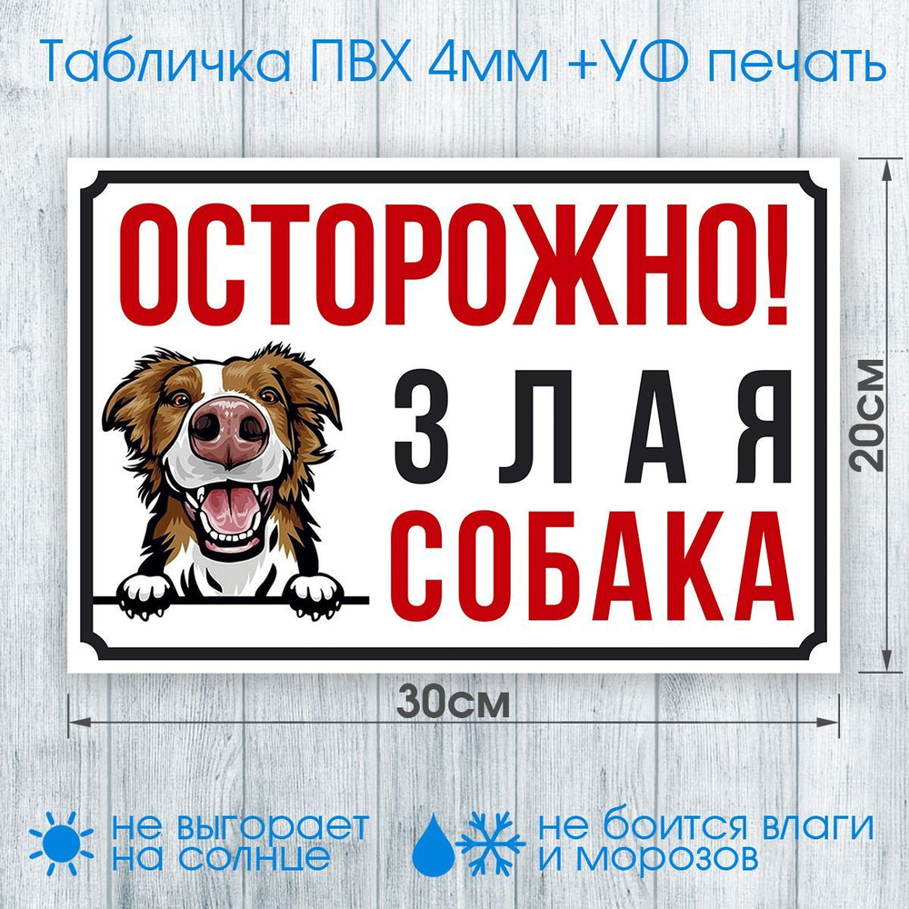 Табличка "ОСТОРОЖНО! Злая собака" №004 30х20см (пластик ПВХ, УФ печать, скотч)  #1