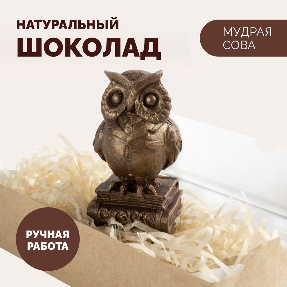 Шоколадный набор "Мудрая сова", фигурный бельгийский шоколад ручной работы, необычный подарок  #1