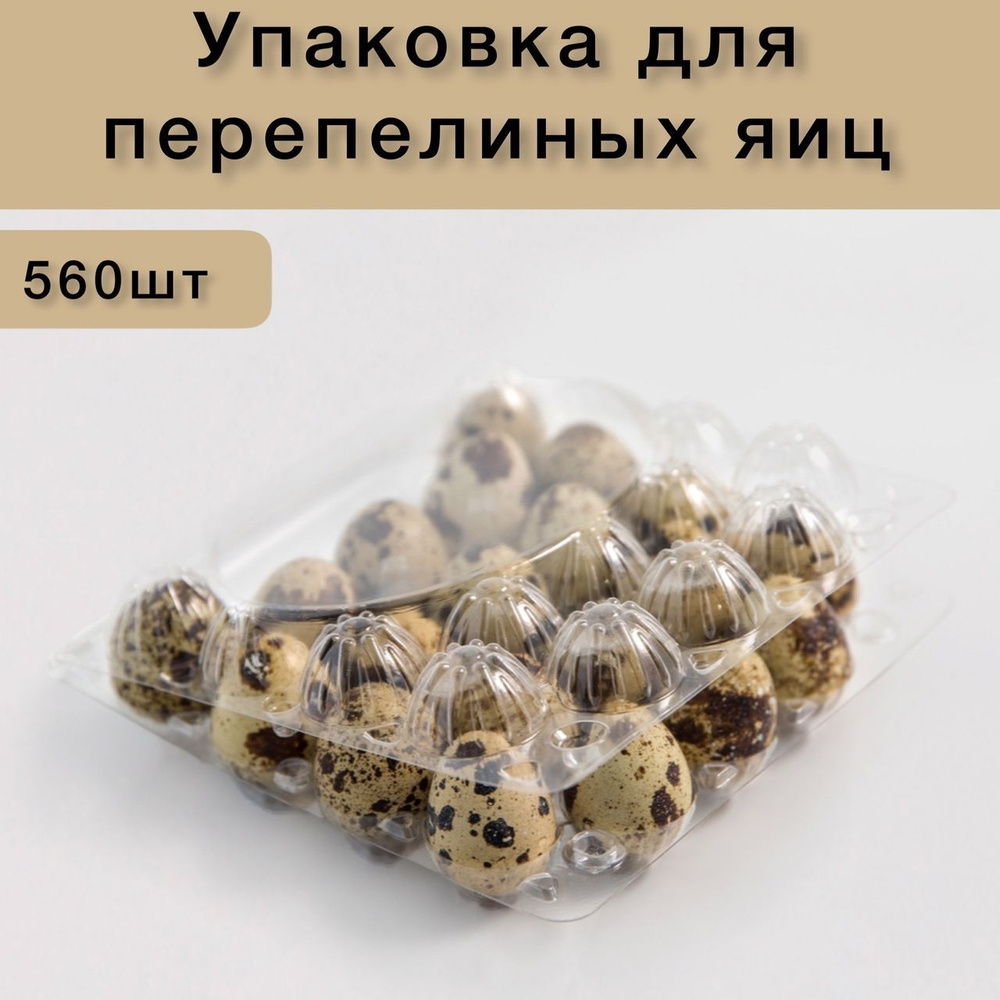 Коробка для продуктов, 14х14 см х4 см, 560 шт #1