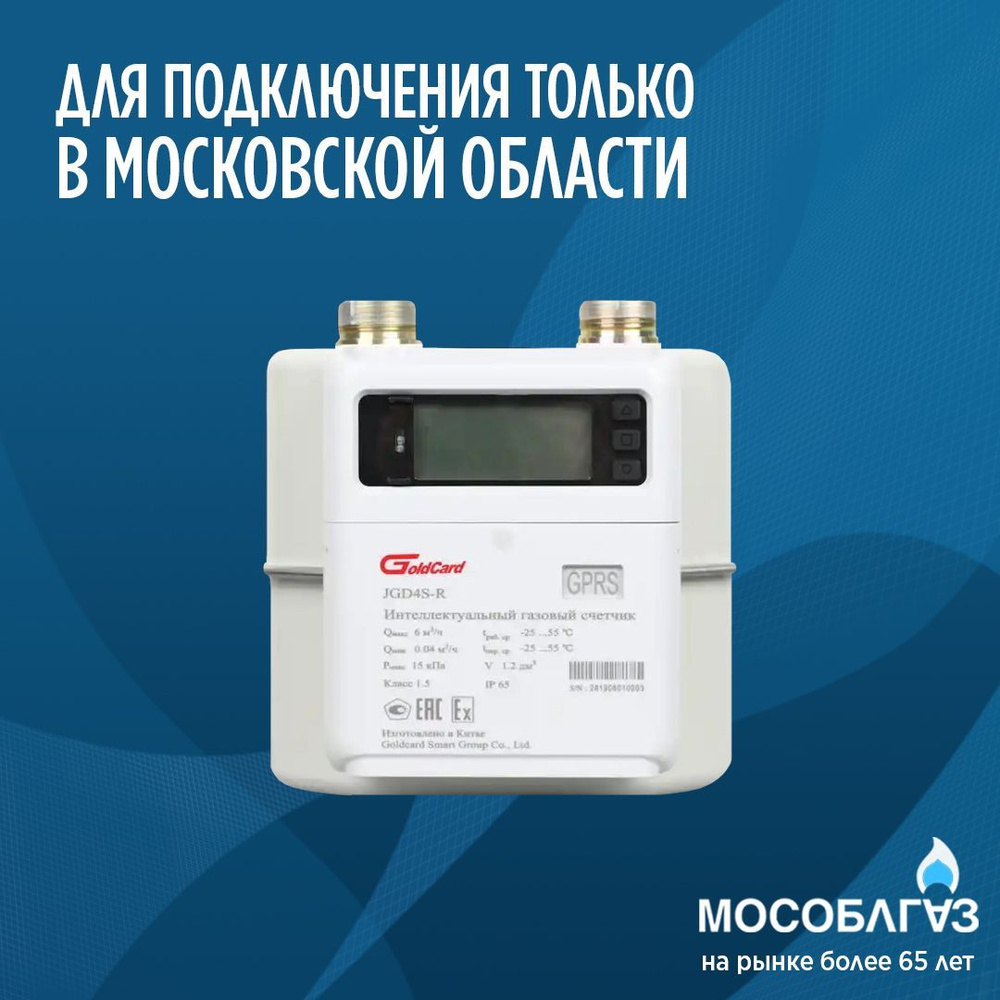 Счетчик газовый GoldCard Infinity G4 (JGD4S-R) (левый) #1