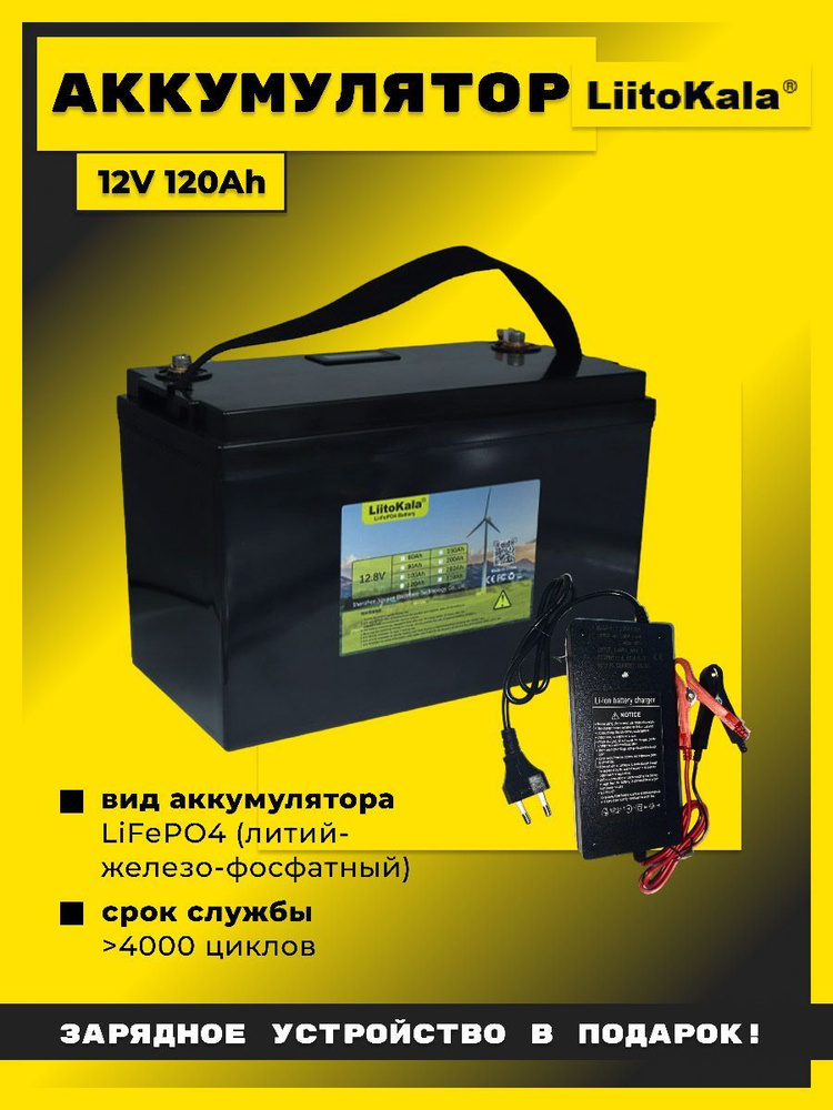 Аккумуляторная батарея LiFePO4 LiitoKala 12 V, 120Ah + зарядное устройство  #1