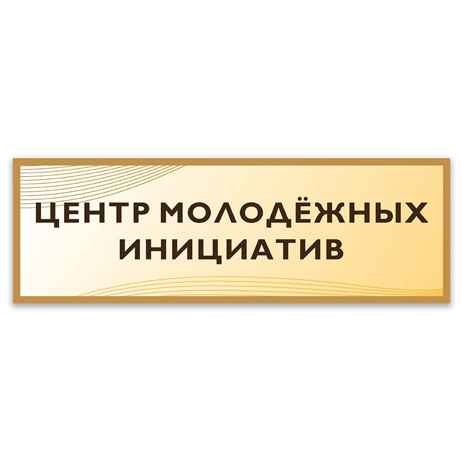 Табличка, Дом стендов, Центр молодежных инициатив, 30 см х 10 см, в школу, на дверь  #1