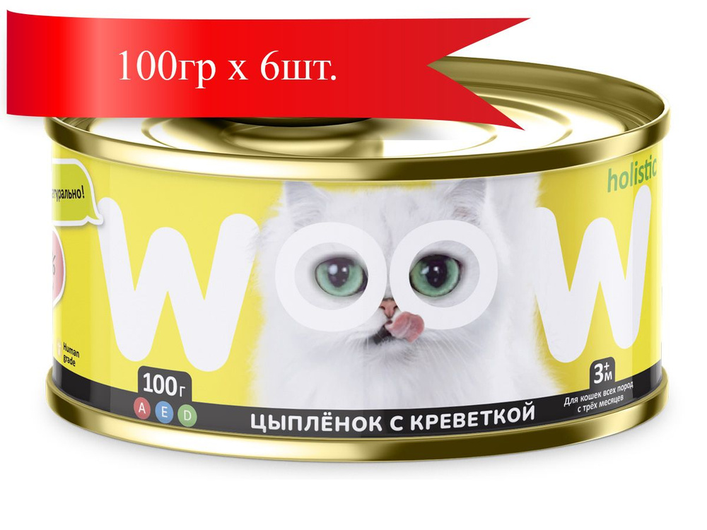 WOOW консервы для кошек Цыпленок с креветкой филе в желе 100гр*6шт  #1