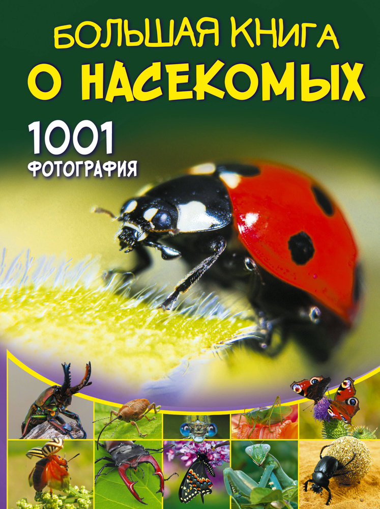 Большая книга о насекомых. 1001 фотография | Спектор Анна Артуровна  #1