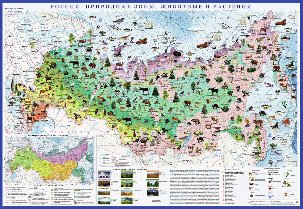 Географическая карта Атлас Принт 70 x 100 см #1
