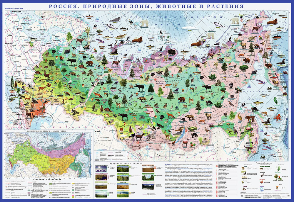 Атлас Принт Географическая карта 70 x 100 см #1