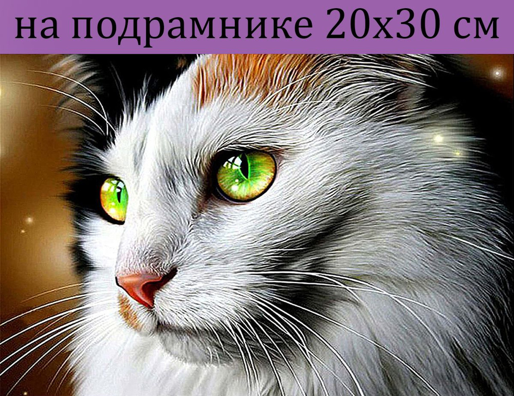 Алмазная мозаика на подрамнике 20х30 Котик, алмазная вышивка на подрамнике 20х30, наборы для творчества #1