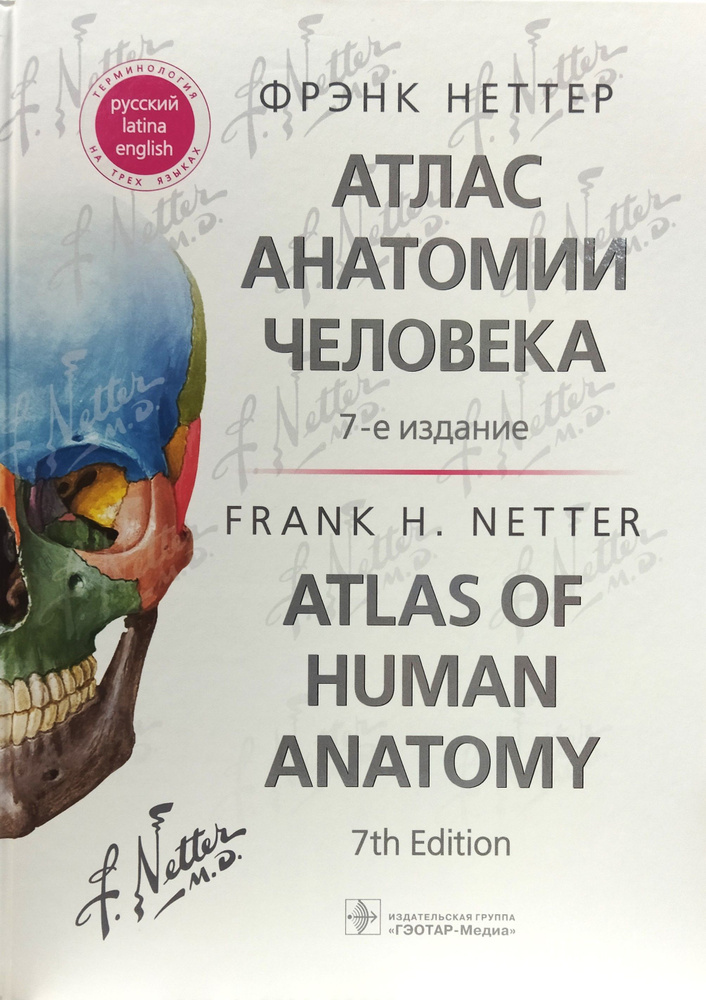 Атлас анатомии человека. Неттер | Неттер Фрэнк #1