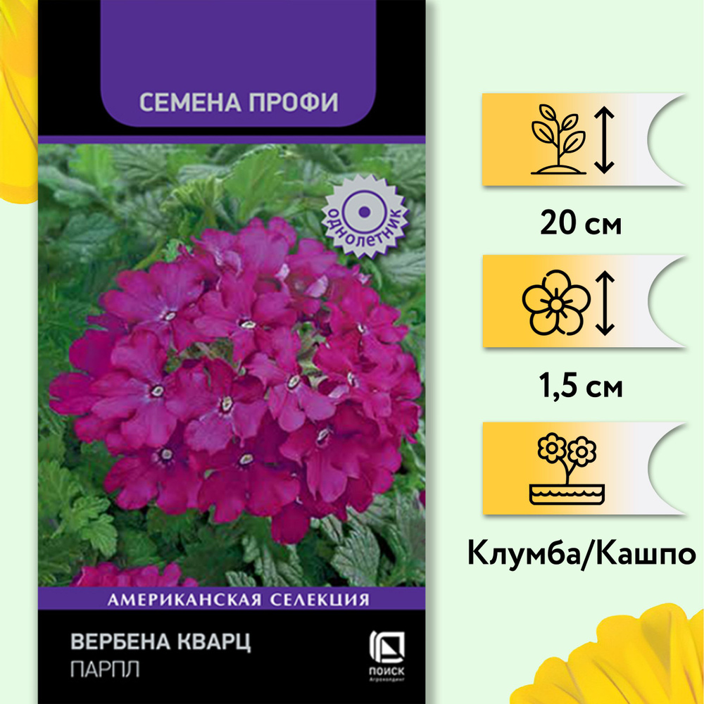 Вербена Кварц Парпл (1 уп. - 10 шт). Яркие и крупные соцветия! Семена агрофирмы "Поиск"  #1