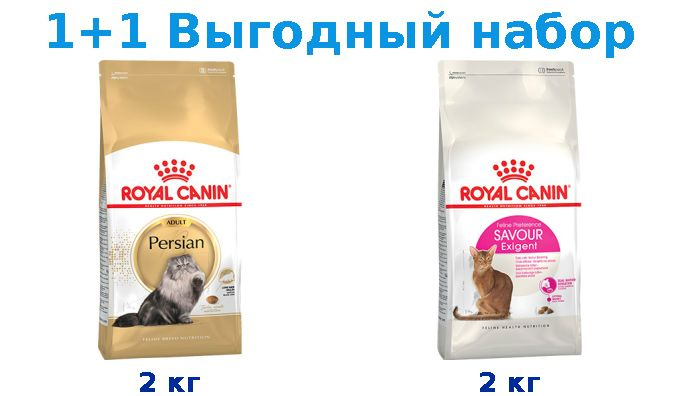 Сухой корм Взрослые, Royal Canin Breed cat Persian 2 кг + Взрослые, Royal Canin Exigent Savoir Sensation #1