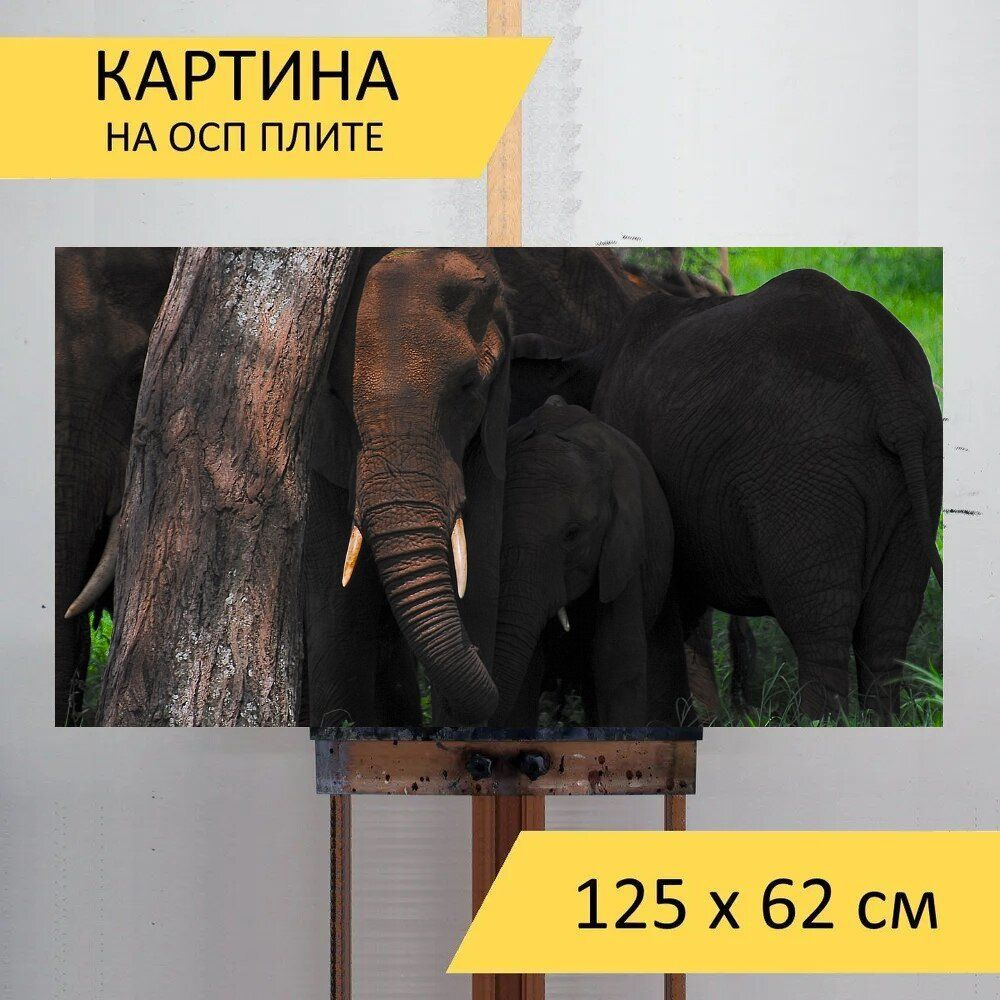 LotsPrints Картина "Слон, африка, сафари 63", 125  х 62 см #1