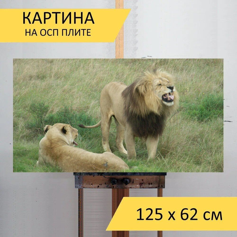 LotsPrints Картина "Южная африка, лев, африке 71", 125  х 62 см #1