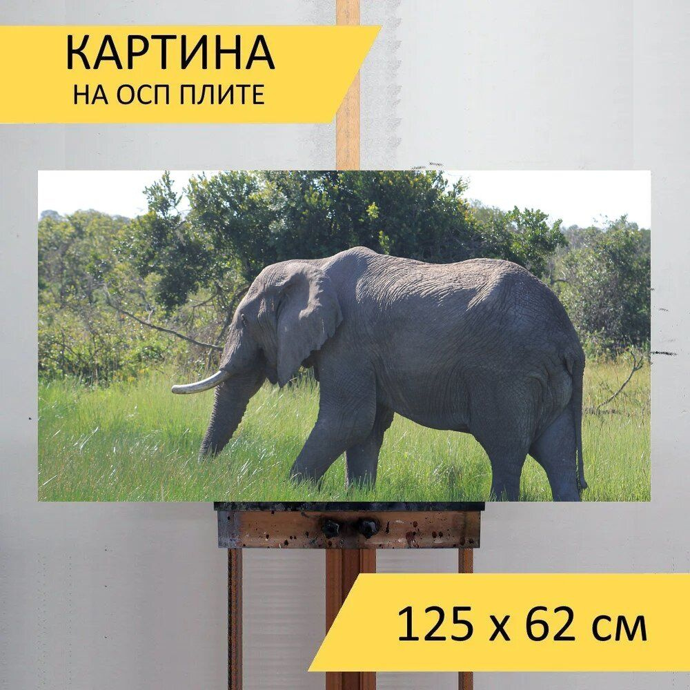 LotsPrints Картина "Слон, принимать пищу, дикая природа 94", 125 х 62 см  #1