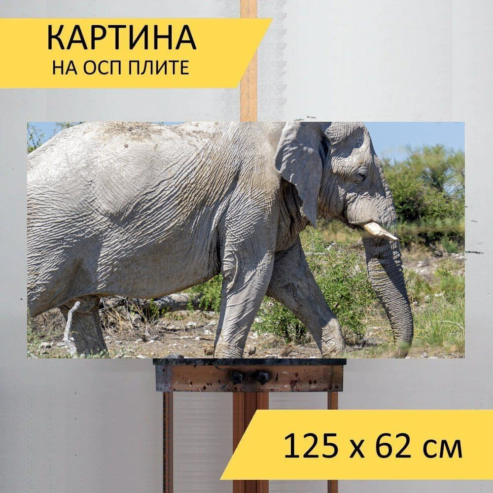 LotsPrints Картина "Слон, животное, сафари 77", 125  х 62 см #1