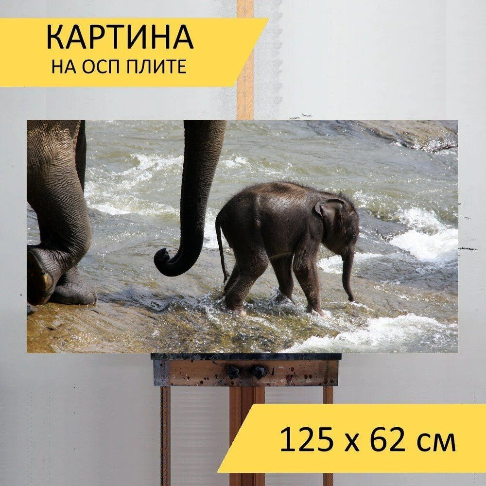 LotsPrints Картина "Слон, слоненок, ствол 02", 125  х 62 см #1