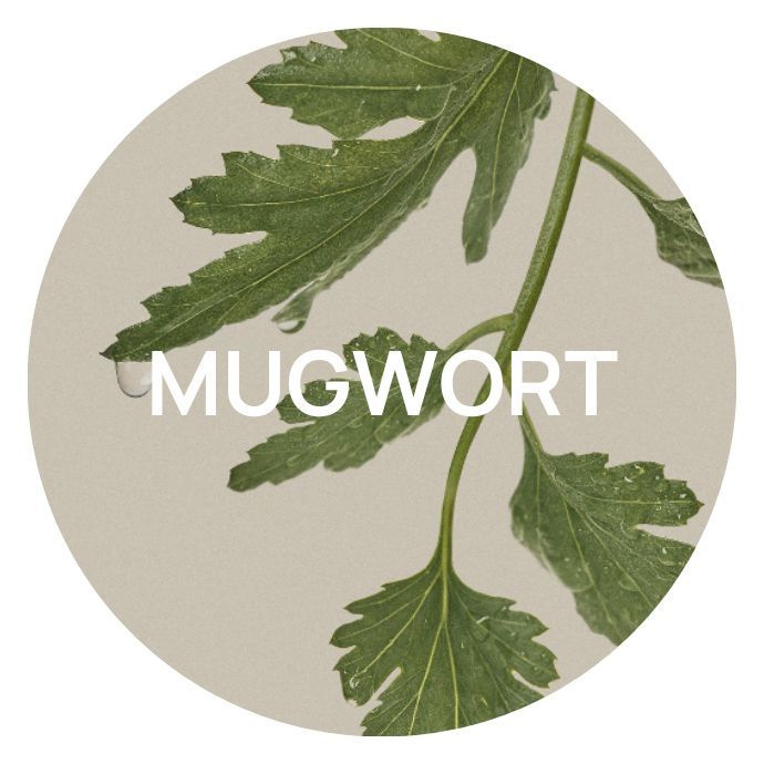 Состав I'm From Mugwort Essence