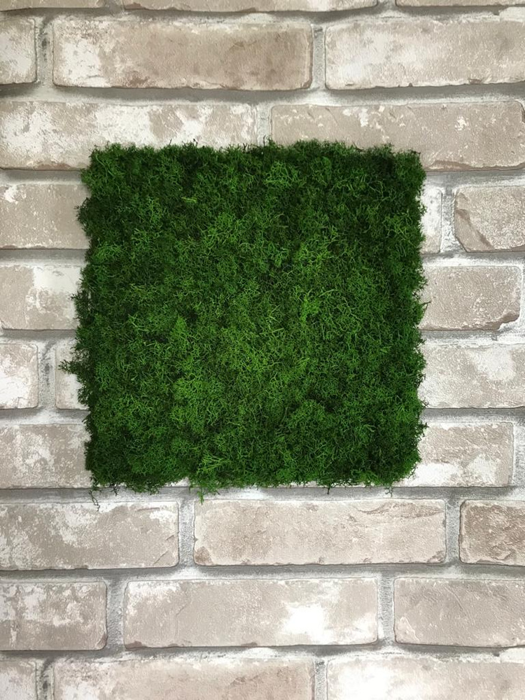 Панно 30*30 из стабилизированного мха 2 сорта цвет летняя трава для дизайна, декора, вертикального озеленения, #1